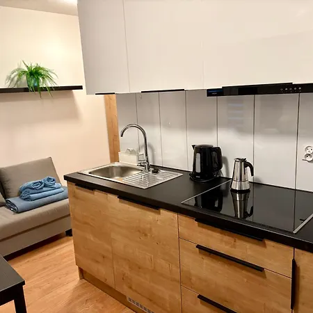 Rybna 1 Centrum Apartman Tarnów