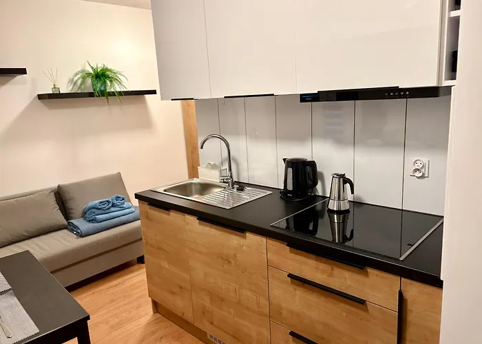 Rybna 1 Centrum Appartamento Tarnów